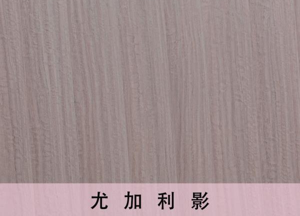 朱雀网板材