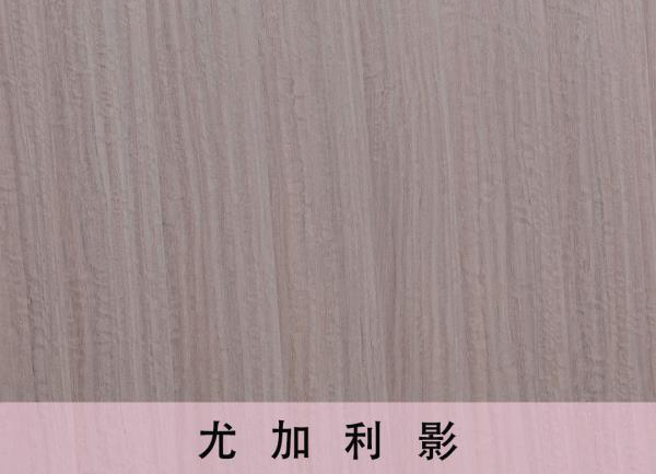 朱雀网板材